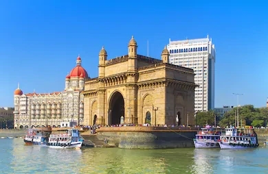 Gateway of India boar seen