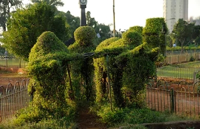 Hanging Garden