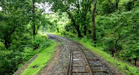 Sanjay Gandhi National Park of Mumbai 