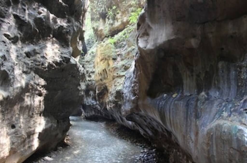 Robbers Cave of Dehradun