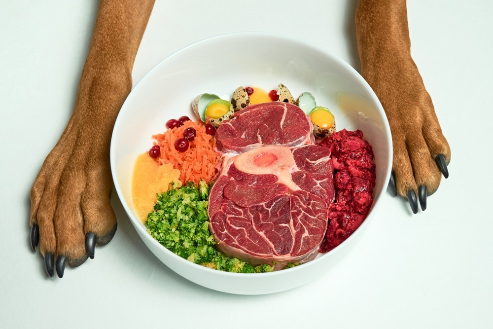 Healthy foods for dogs- Organ meat