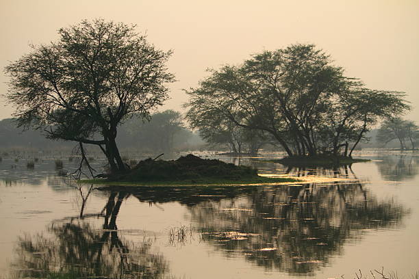 Sultanpur bird Sanctuary of Gurgaon