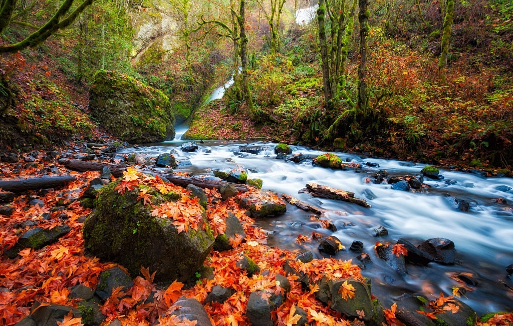 Hiking and trailing in area of River Gorge is one of the best things to do in Portland
