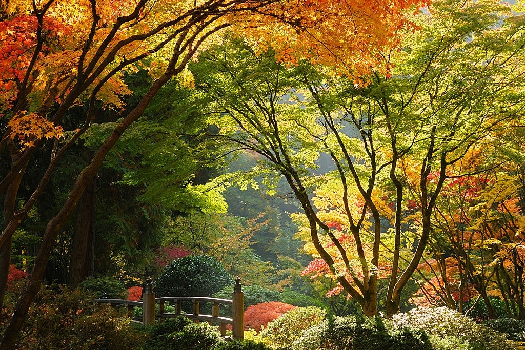 Famous Japanese Garden of Portland which offers endless fun activities to do in Portland for Culture lovers. 